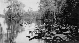 Wekiva River